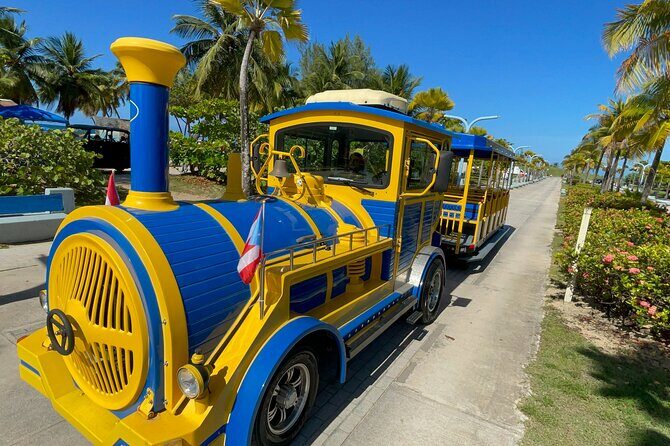Old San Juan Trolley and Sightseeing Tour - Who Would Love This Tour