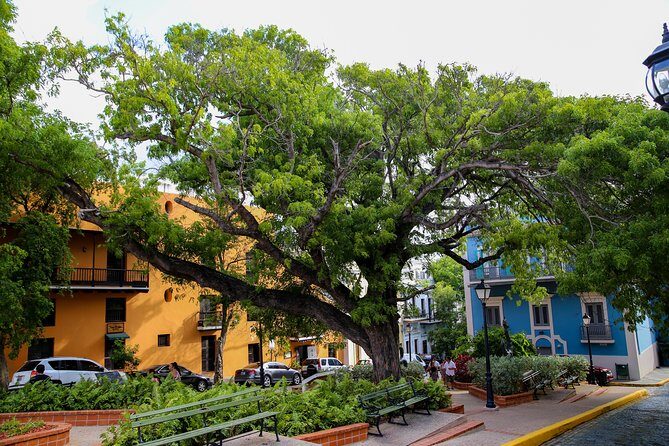 Old San Juan Walking Tour with Fort: 8+ people group - Frequently Asked Questions