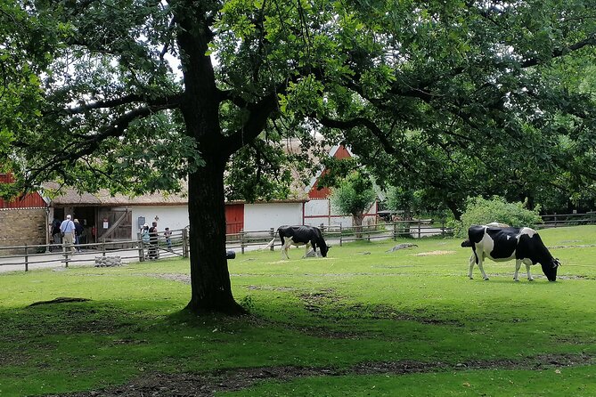 Old Sweden, the Way We Were, a Guided Tour of Skansen, Stockholm - History and Culture