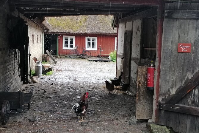 Old Sweden, the Way We Were, a Guided Tour of Skansen, Stockholm - Open-air Museum