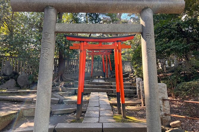 Old Tokyo History and Transition Small Group Walking Tour - Tour Overview