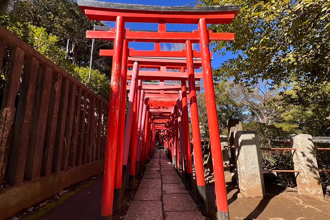 Old Tokyo History and Transition Small Group Walking Tour - Inclusions and Exclusions