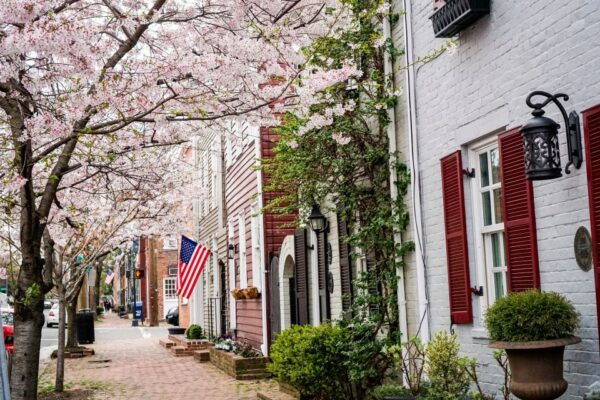 Old Town Alexandria: Southern Comfort Food & History Tour - The Sum Up