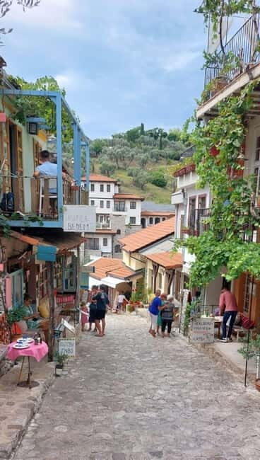 Old Town Bar, Old Olive Tree and the region of olive groves - Exploring the Old Town of Bar