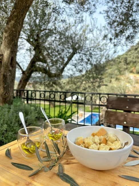 Old Town Bar, Old Olive Tree and the region of olive groves - The Olive Villa and Olive Groves: A Sensory Journey