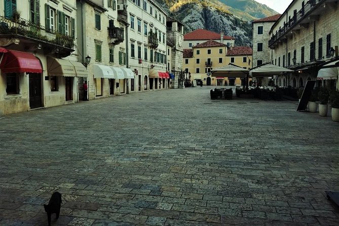 Old Town Kotor 1 Hour Private Walking Tour - Meeting and Pickup Details