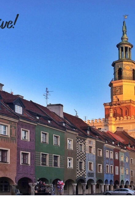 Old Town Poznan: Guided Walking Tour in English - Vibrant City Culture