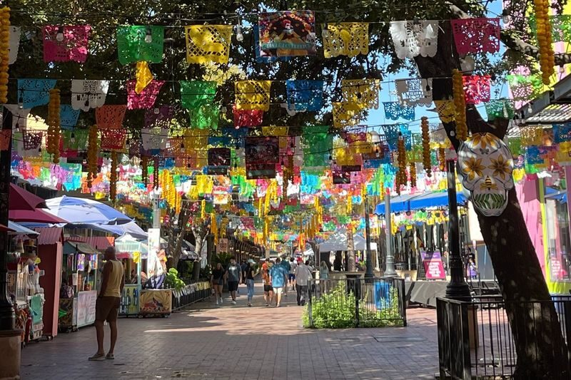Old Town Trolley Tours in San Antonio - Use the narration to choose where to spend time