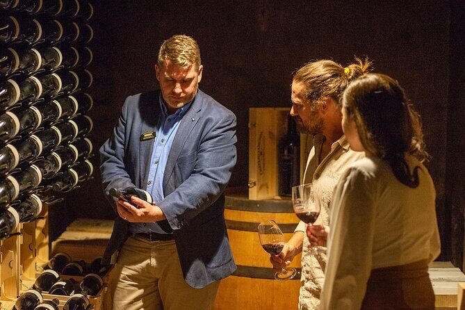 Old Vine Expressions Tasting - Why This Experience Is Worth It