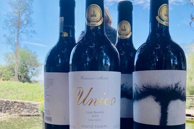 Old Wine Route Tour Experience at Baja California. ALL INCLUSIVE! - FAQ