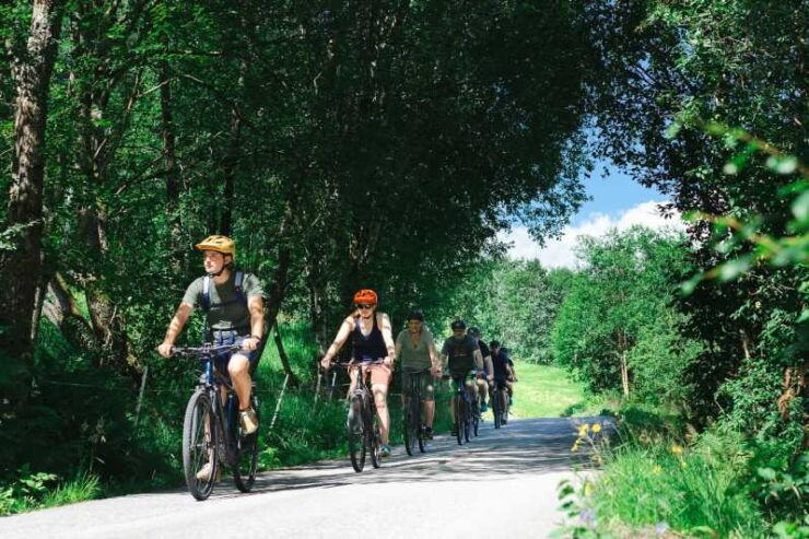 Olden: Fjord E-Bike Tour - Good To Know