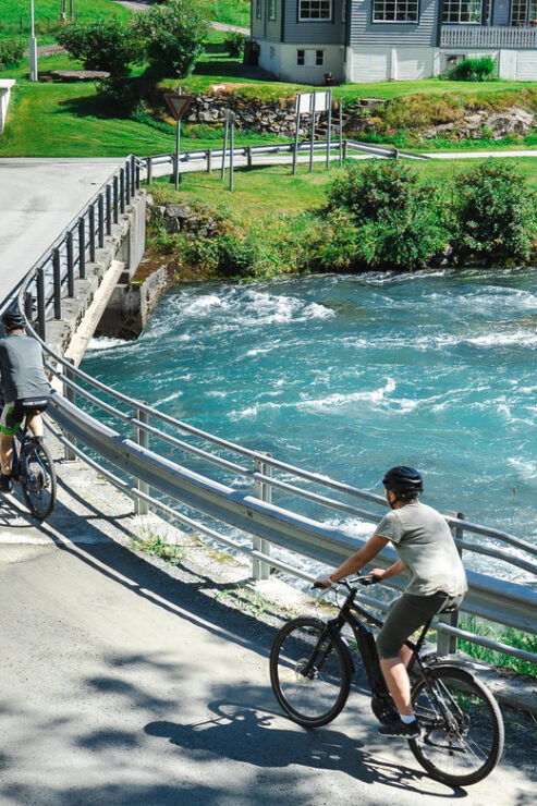 Olden: Fjord E-Bike Tour - Booking Information