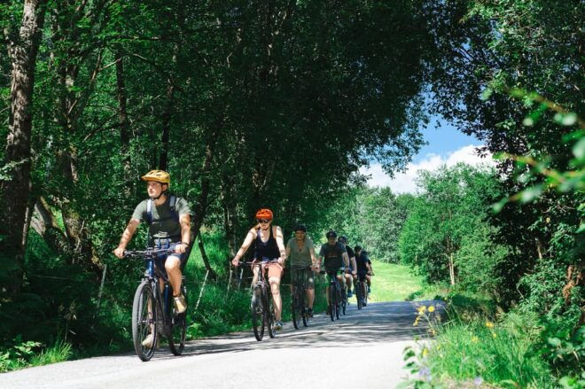 Olden: Fjord E-Bike Tour - Experience Highlights