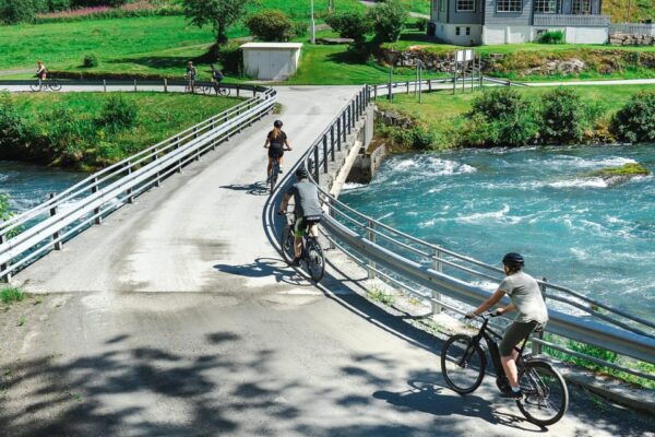 Olden: Fjord E-Bike Tour - Fjord Landscape Discovery