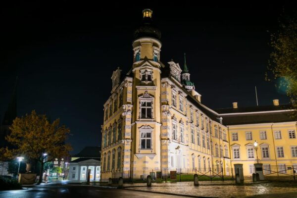 Oldenburg: Night Watchman Tour (Experience Tour) - What to Expect