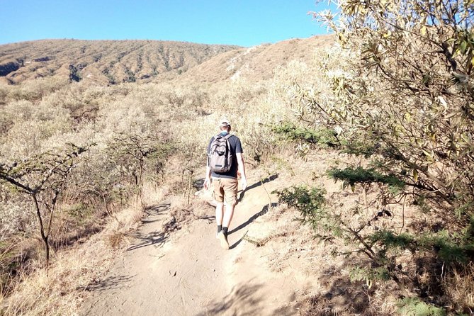 Oldonyo Sapuk Full-Day Private Hiking Tour From Nairobi - Pickup Information