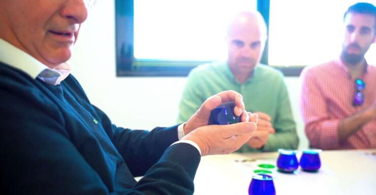 Oleoalmanzora: Guided Tour Masterclass of EVOO Tasting Eng - Experience Highlights