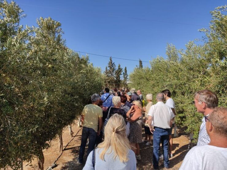 Oleoalmanzora: Guided Tour Olive Groves and EVOO Facilities - Tour Details