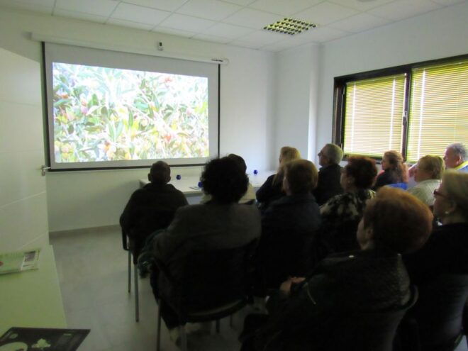 Oleoalmanzora: Guided Tour Olive Groves and EVOO Facilities - Description