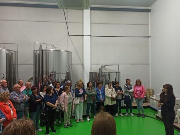 Oleoalmanzora: Guided Tour Olive Groves and EVOO Facilities - The Sum Up