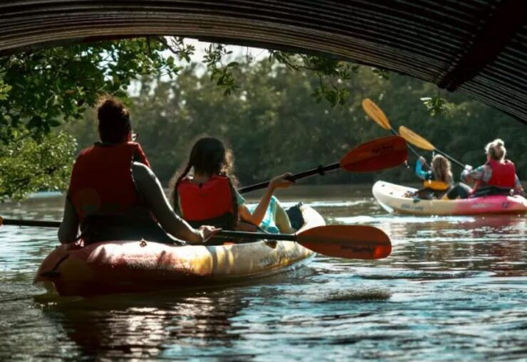 Oleta River State Park: Eco Kayak or Paddleboard Tour - Good To Know