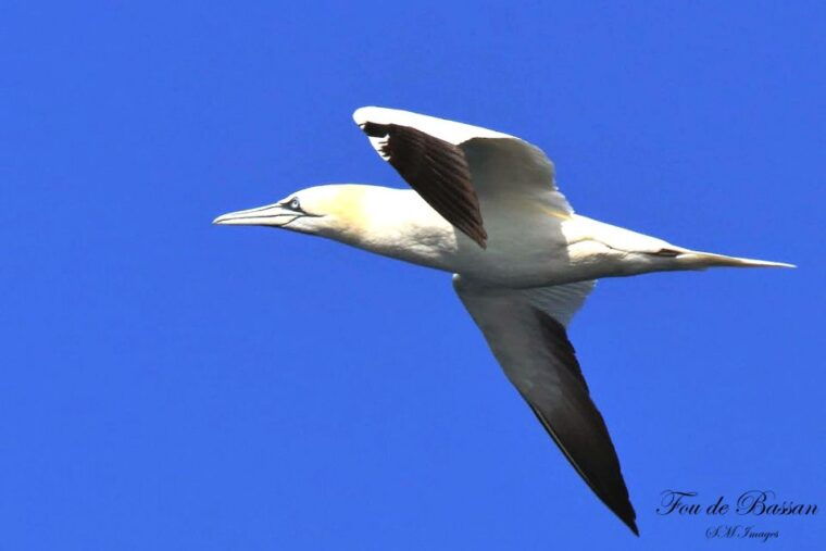 Olhão: 3 Islands Guided Sightseeing Tour with Lunch - Final Thoughts: Who Is This Tour Perfect For?