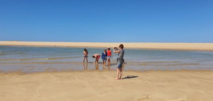 Olhão: 5-Hour Ride With 3 Stops on the Beaches and Islands of Ria Formosa - Tour Highlights