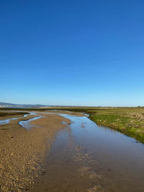 Olhão: Beautiful Exclusive Route: Private Boat Rental with Skipper - Good To Know