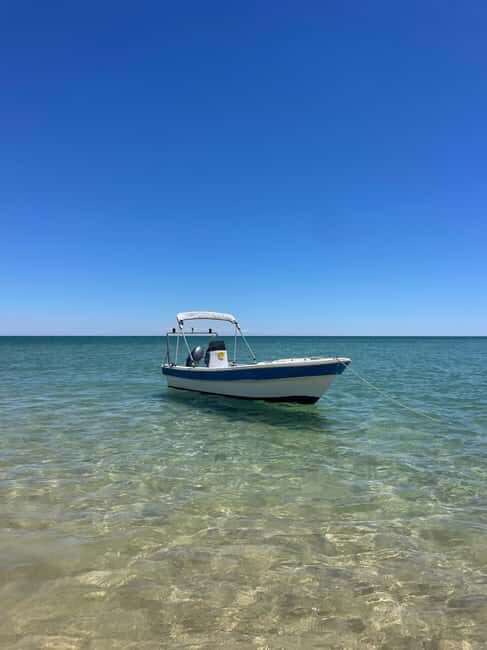 Olhão: Beautiful Exclusive Route: Private Boat Rental with Skipper - Who Will Love This Tour?