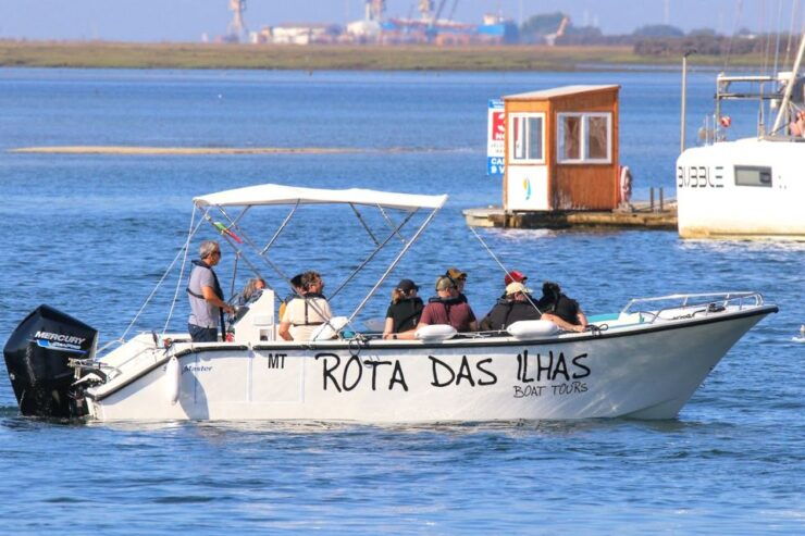 Olhão: Dolphin and Wildlife Watching Boat Tour - Experience