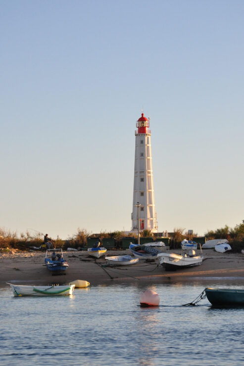 Olhão Formosa Hop On Hop Off - Experience Highlights