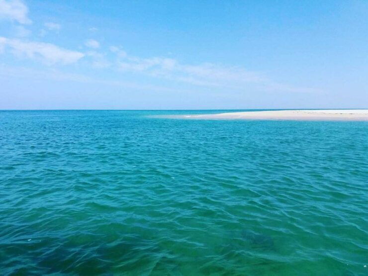 Olhão: Private Boat Tour to Ria Formosa - Good To Know