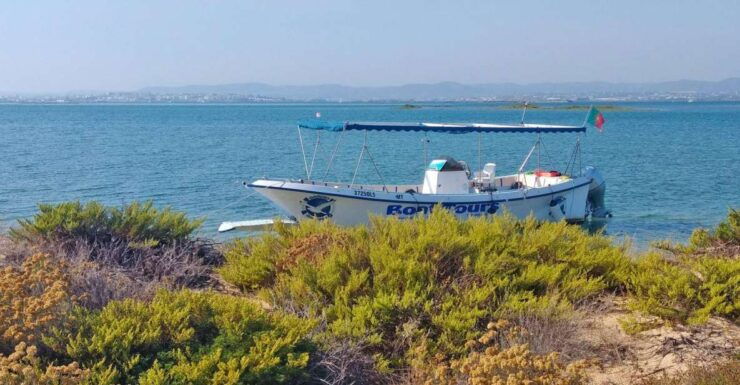 Olhão: Private Boat Tour to Ria Formosa - Experience Details