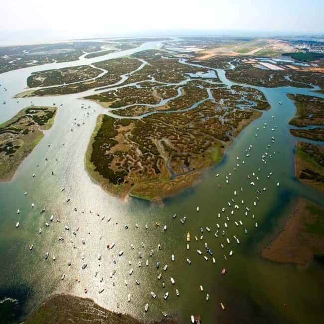 Olhão: Ria Formosa 2 Islands Boat Tour - Practical Details and Considerations
