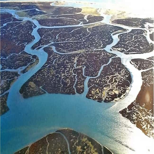 Olhão: Ria Formosa 2 Islands Boat Tour - Who It’s Best For