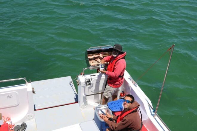 Olhão: Ria Formosa BBQ Explorers - Tour Along the Islands - Preparation and Restrictions