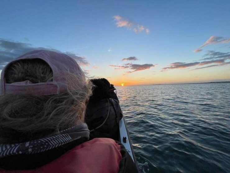 Olhão: Ria Formosa Boat Cruise - Activity Details