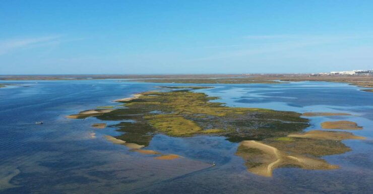 Olhão: Ria Formosa Boat Cruise - Reservation and Payment Options