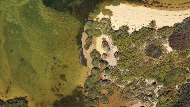Olhão: Ria Formosa Boat Cruise - Additional Information