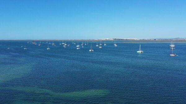 Olhão: Ria Formosa Boat Cruise - The Sum Up