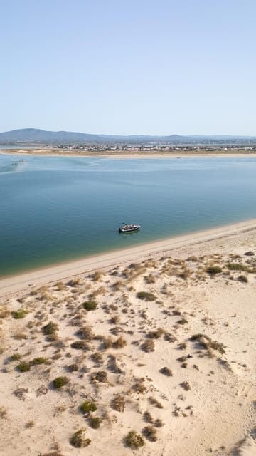Olhão: Ria Formosa Boat Tour with Oyster Tasting - Practical Details and Tips