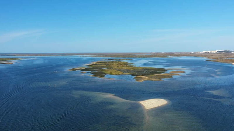 Olhão: Ria Formosa National Park and Islands Boat Cruise - The Return Journey and Final Impressions