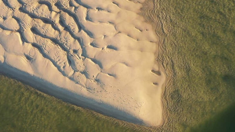 Olhão: Ria Formosa National Park and Islands Boat Cruise - Authentic Experiences from Reviews