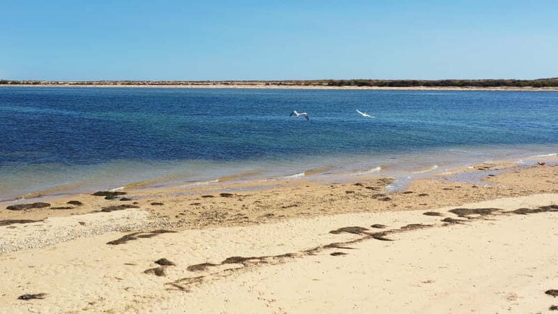 Olhão: Ria Formosa National Park and Islands Boat Cruise - Frequently Asked Questions