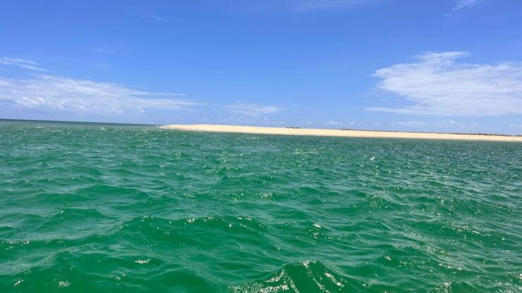 Olhão - Route of 2 Fantastic Ria Formosa Islands - Highlights of the Tour