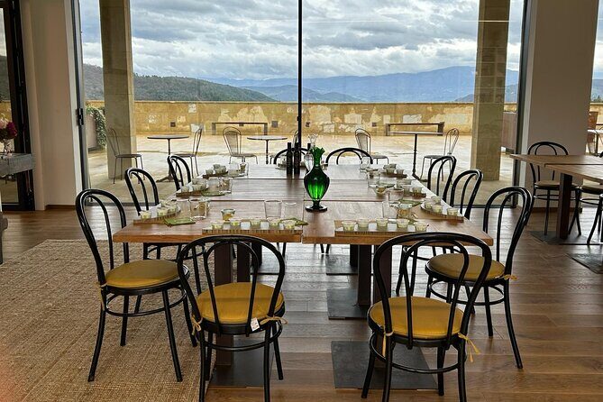 Olio Evo Gold Experience at Frantoio Buonamici in Fiesole - Is This Tour Worth It?