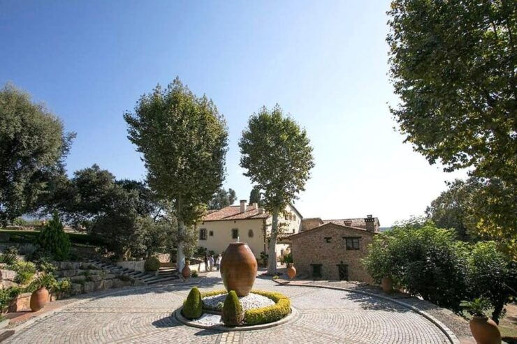 Olive Grove Tour, Oil Tasting and Visit to a 12TH Century Farmhouse. - Good To Know