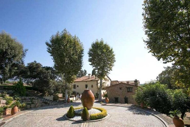 Olive Grove Tour, Oil Tasting and Visit to a 12TH Century Farmhouse. - Activity Details