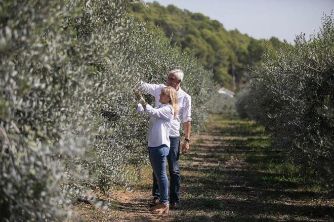 Olive Grove Tour, Oil Tasting and Visit to a 12TH Century Farmhouse. - Educational Aspects