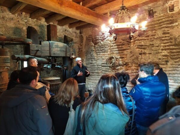 Olive Grove Tour, Oil Tasting and Visit to a 12TH Century Farmhouse. - Frequently Asked Questions